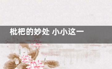枇杷的妙处 小小这一物居然会有这些功效